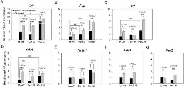 Figure 4. Effects of immobilization stress on the expression of genes in PVN. Relative expression levels and changes (stressed/non-stressed) of stress-related genes (Crh, Avp, Oxt, c-fos and Nr3c1) and Per genes (Per1 and Per 2) in PVN of three genotypes (