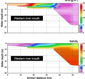 Fig. 8. Spatial variations of b bp (715)-derived SPM concentration, in g m −3 (see the text for details), and water salinity along the Mackenzie River mouth (west side)