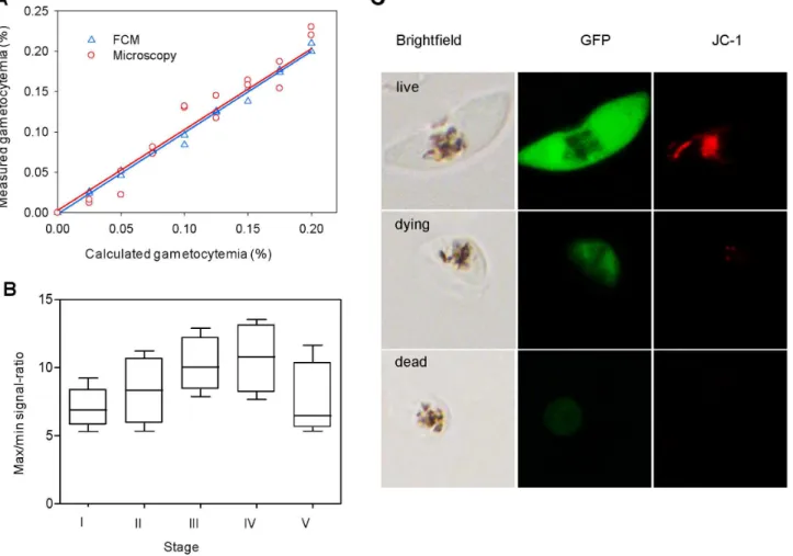 Figure 4. Optimization of assay parameters and characterization of gametocyte-specific GFP reporter line