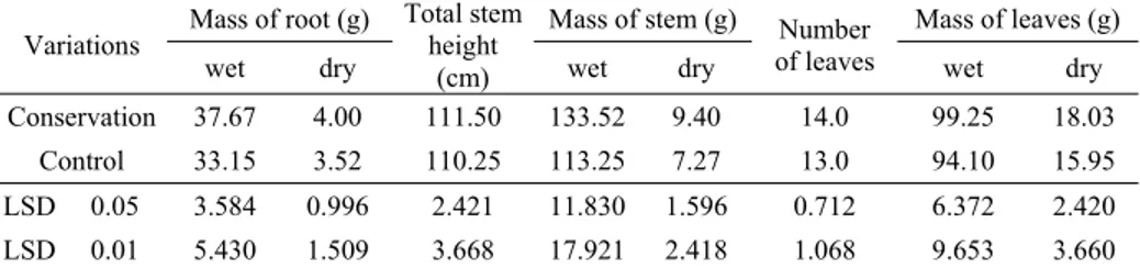 Table 5. Influence of application of new types of machines on important  morphological features in the late vegetative stage of maize