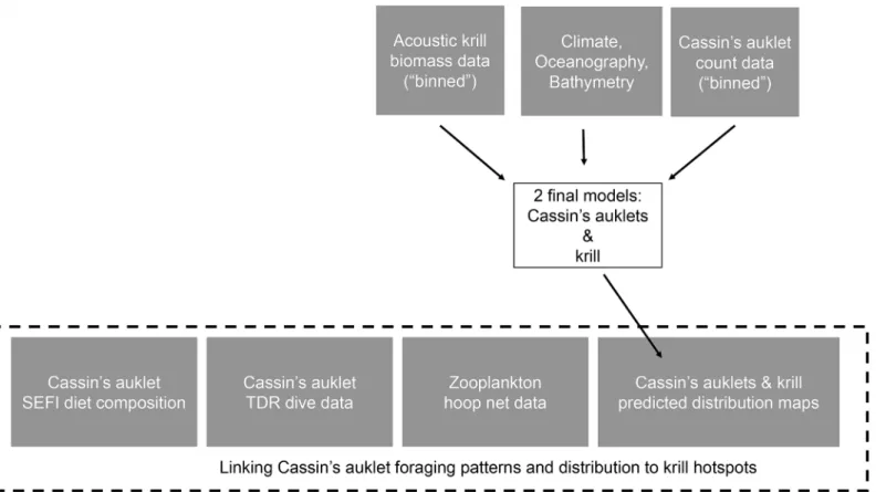 Fig 2. Schematic study modeling methodology showing binned and environmental data, predicted to 1 km 2 prediction cells, linked with Cassin ’ s auklet diet data, Cassin ’ s auklet TDR dive data, and zooplankton tow samples from the upper water column.