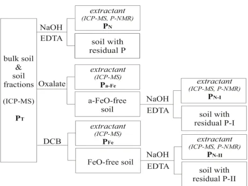 Figure 1. A schematic diagram of the soil sample treatments.