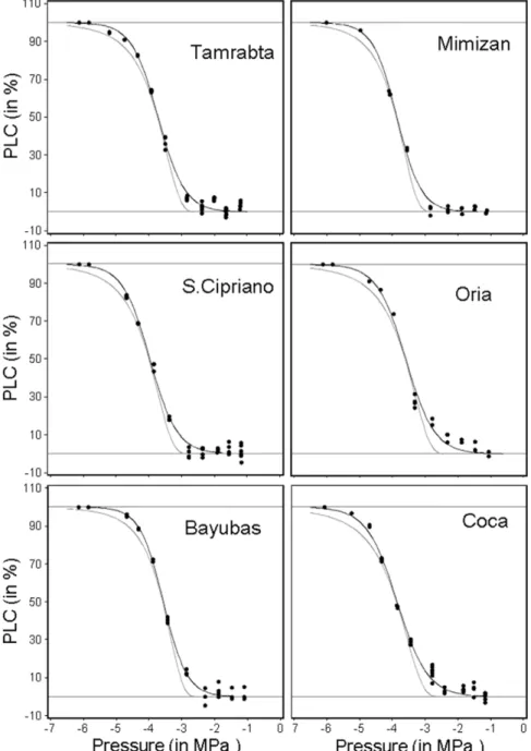 Figure 2. Vulnerability curves of one genotype for each studied population. Black dot are the raw measure of percent of loss of conductance (PLC in %) along the negative pressure gradient (in MPa)