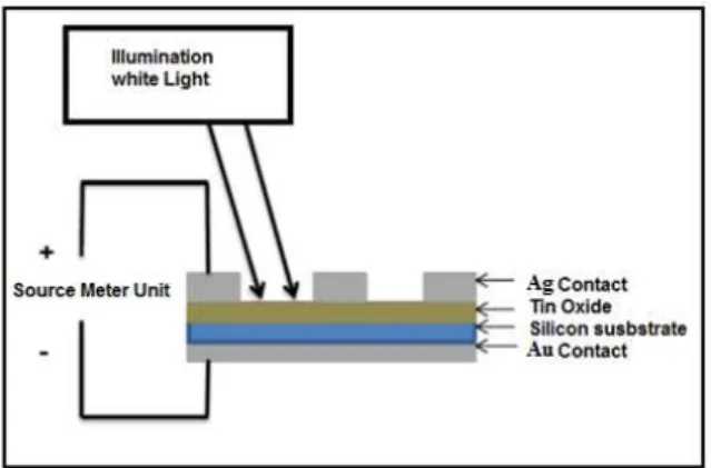 Fig. 1  –  A  schematic  cross-section  of  the  Ag / SnO 2  / nSi / Au  structure 