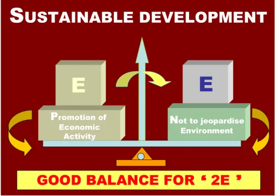 Figure 6.  Meaning of “Sustainable Development” 