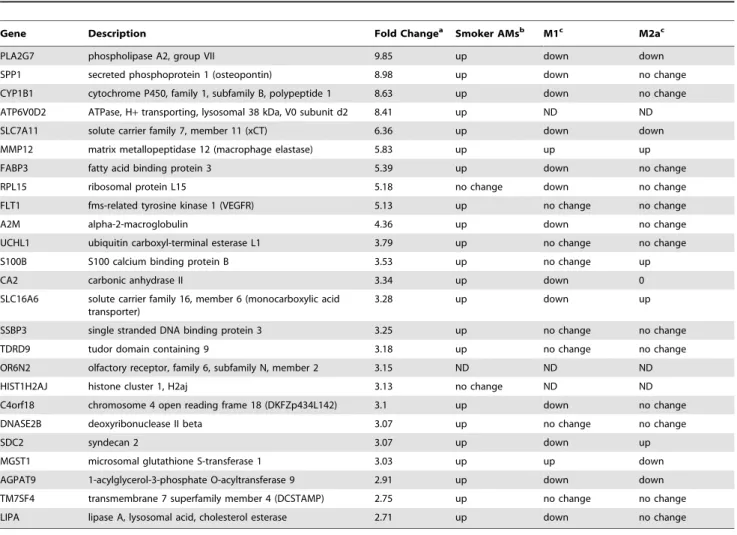 Table 1. 25 most upregulated mRNAs in alveolar macrophages of smokers.