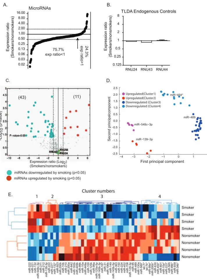 Figure 2. Expression profiling indicates a global repression of total miRNA abundance in alveolar macrophages of cigarette smokers