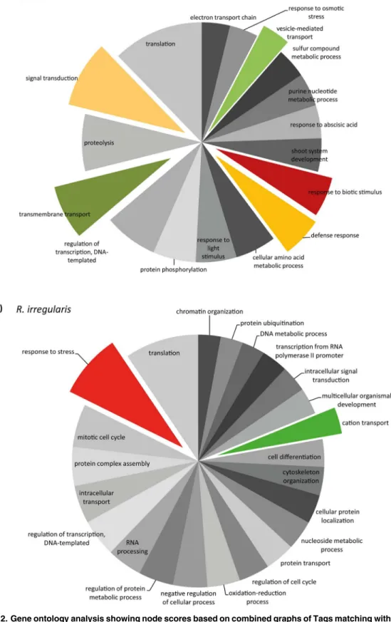 Fig 2. Gene ontology analysis showing node scores based on combined graphs of Tags matching with N