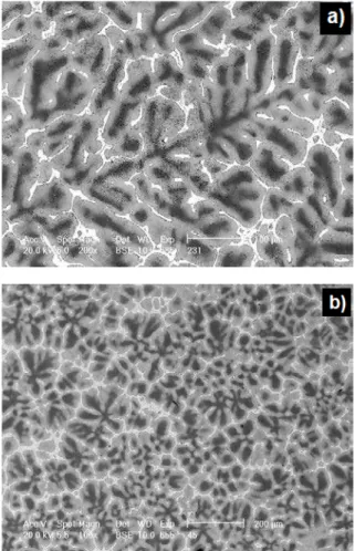 Fig. 2. SEM picture of the ZnAl25 sand cast alloy, (a) – initial  alloy, non-inoculated; visible coarse dendritic structure; (b) the  same ZnAl25 alloy inoculated with 400 ppm Ti, introduced to the 