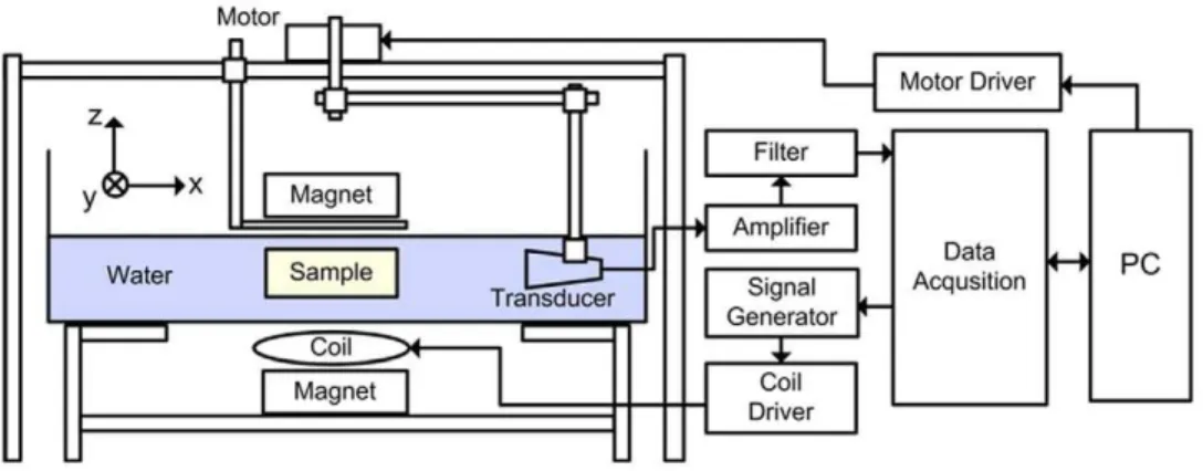 Figure 2A shows the temporal profile of the transducer impulse response used in this study
