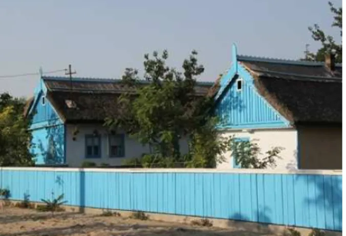 Fig. 7. Lipovan traditional houses 