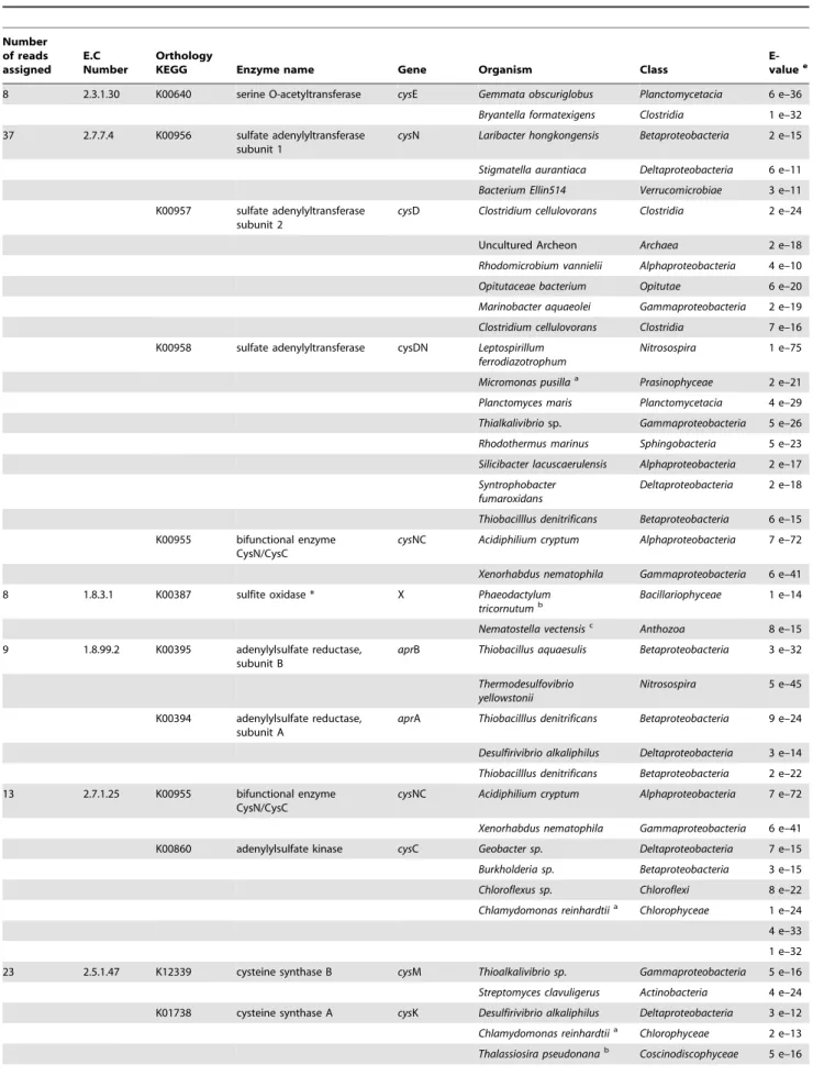 Table 3. Sequences associated with specific functions and taxa within the sulfur cycle using KEGG pathways
