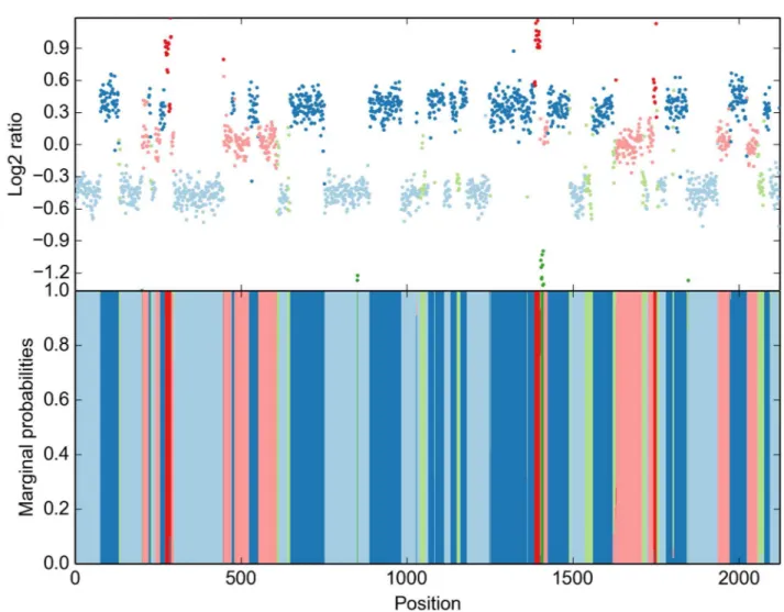 Fig 6. HaMMLET ’ s inference of copy-number segments on T47D breast ductal carcinoma. Notice that the data is much more complex than the simple structure of a diploid majority class with some small aberrations typically observed for Coriell data.