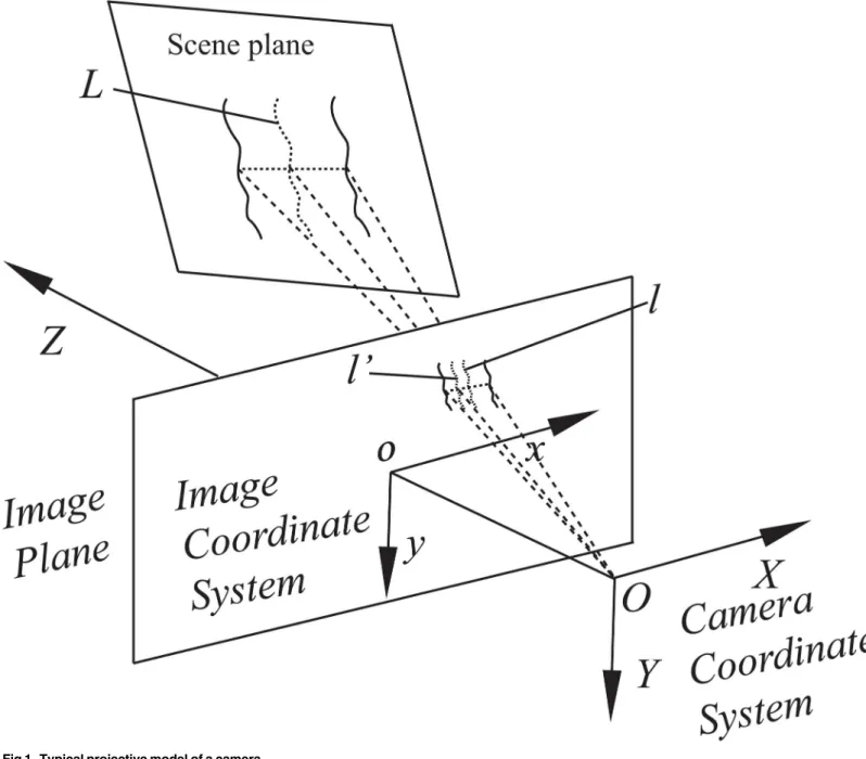 Fig 1. Typical projective model of a camera.