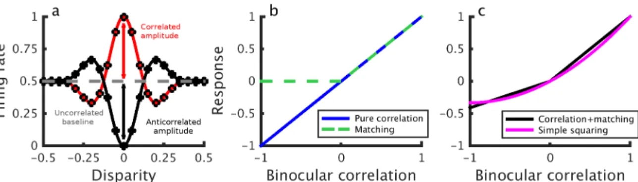 Fig 1. a) Response amplitudes in correlated and anticorrelated stereograms. Binocular energy model response to correlated (open circles, red line) and anticorrelated stimuli (solid circles, black line)
