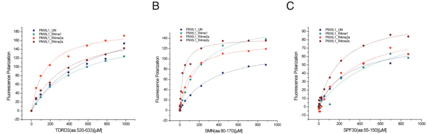 Figure 1. Fluorescence polarization binding curves of TDRD3 (aa 520–633), SMN (aa 80–170), and SPF30 (aa 65–150) to the PIWIL1- PIWIL1-R4 peptides