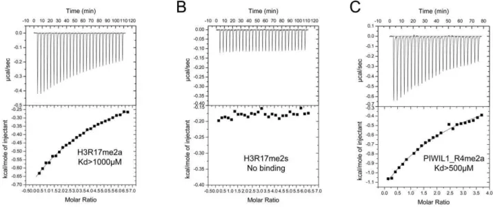 Figure 2. Preferential binding of TDRD3 to asymmetrical dimethylated H3R17 peptide over symmetrical dimethylated H3R17 peptide