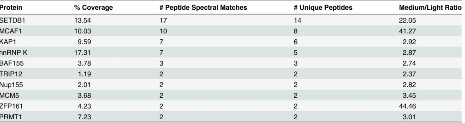 Table 1. Mass spectrometric analysis of SETDB1 (medium) versus IgG (light) IPs from the 0.5 M anionic column fraction.