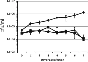 Figure 3. Nitric oxide production by M. tuberculosis -infected THP-1-derived macrophages