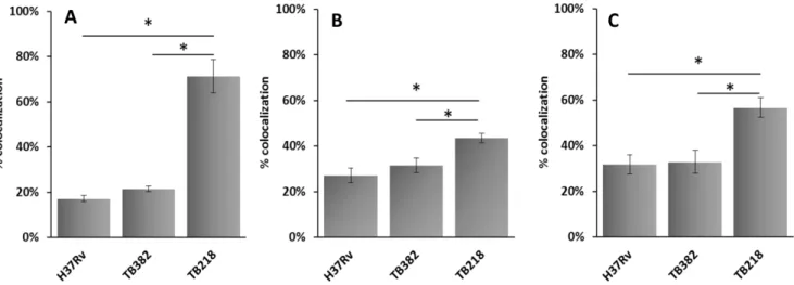 Figure S1 Confirmation of sigE deletion by Southern- Southern-blot analyses. (A) Schematic representation of the sigE DNA region in H37Rv