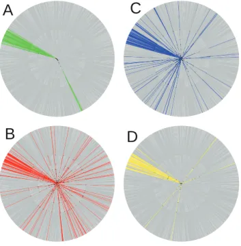 Figure 5. Phylogenetic fan tree of subtype B/B’ Env sequences.