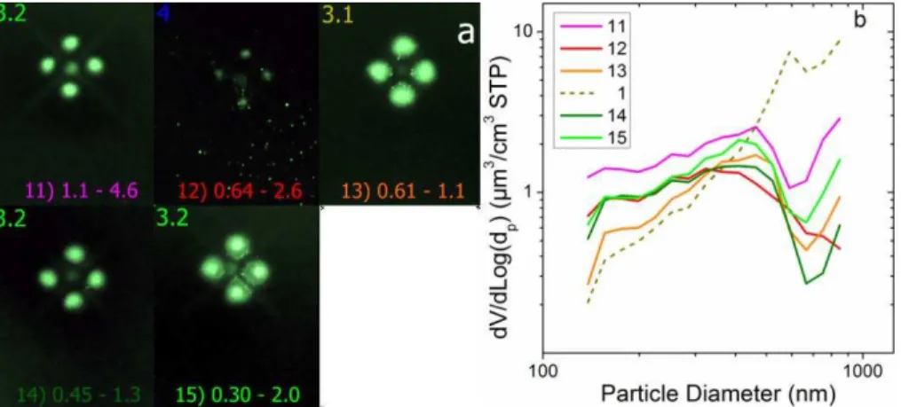 Fig. 5. (a) Particle deposition patterns on the aerosol samples with a strong crustal component.