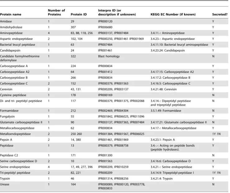 Table 6. Proteinases and nitrogen recycling proteins identified from MudPIT data.