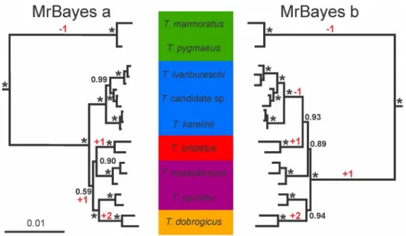 Figure 4. Primary concordance trees resulting from the Bayesian concordance analysis in BUCKy for the genus Triturus , based on 38 nuclear markers positioned in 3 9 untranslated regions, sequenced for 20 individuals