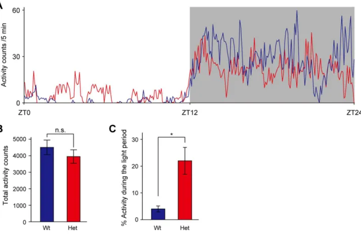 Figure 1. Altered diurnal pattern in locomotor activity of female heterozygous Clock mutant mice