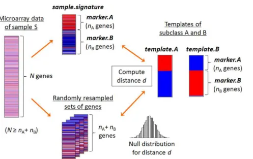 Figure 1. Methodology of Nearest Template Prediction (NTP). Based on predetermined gene signature of subclasses A and B including n A over-expressed genes in subclass A (marker.A) and n B over-expressed genes in subclass B (marker.B), template.A and templa