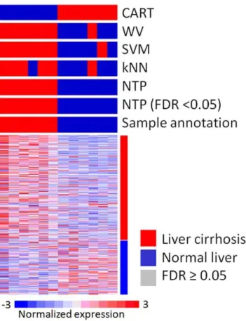 Figure 4. Example 3: Cross-species prediction of liver cirrhosis between human and rat