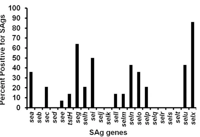Fig 1. SAg gene profile of nasal S . aureus isolates. Conventional PCR and specific primers for known SAg genes were utilized [17].