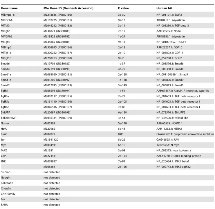 Table 1. TGF-b pathway members in Mnemiopsis genome.