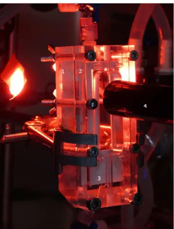 Fig 1. The ENDOXY system set up as a bioreactor for application of defined shear stress on endothelial cells