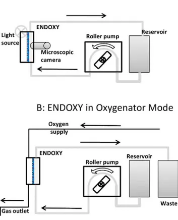 Fig 2. Schematic drawing of the ENDOXY system set up in bioreactor mode (A) and oxygenator mode (B).