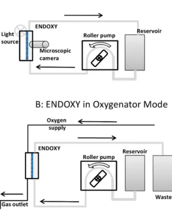 Fig 2. Schematic drawing of the ENDOXY system set up in bioreactor mode (A) and oxygenator mode (B).