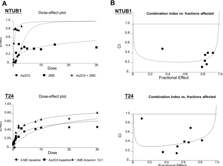 Figure S1 2-ME induces (A) phospho-histone H2A.X, (B) caspase activations and PARP cleavage in T24 cells instead of SV-HUC cells