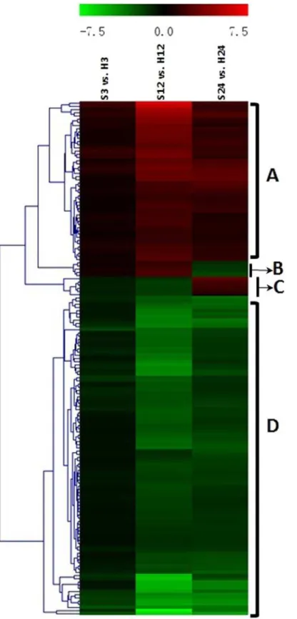 Fig 6. Hierarchical cluster analyses of the 163 common differentially expressed genes (DEGs) at three time points