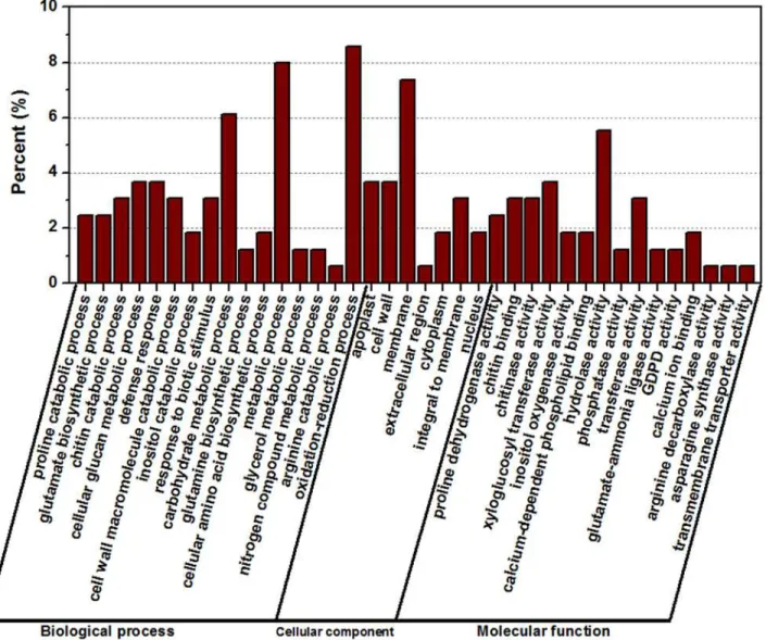 Fig 7. Gene Ontology (GO) analyses of commonly differentially expressed genes at three time points