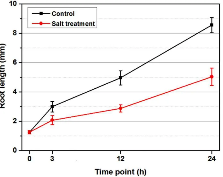 Fig 2. Effect of salt (NaCl) on Brassica napus roots length during the 24-hour time course