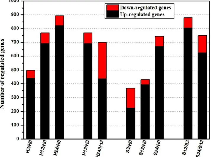 Fig 3. Summaries of differentially regulated genes during the time course. Differentially regulated genes were identified either by a comparison of adjacent stages or comparing each stage to H0