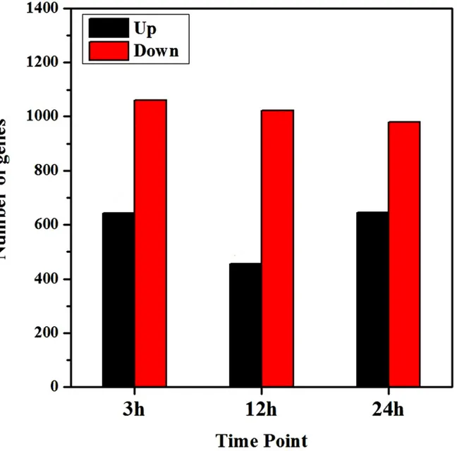 Fig 4. Total regulated genes at each time point after salt treatment. Differentially expressed genes were confirmed based on whether the | log 2 Foldchange|  1 and p value  0.05.