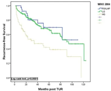 Figure 4. Kaplan-Meier estimates of recurrence-free survival rates after transurethral resection (TUR) of the bladder tumor according to the 2004WHO classification.