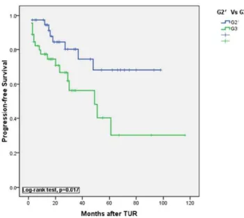 Figure 7. Kaplan-Meier plots of progression-free survival between G3 and G2 9 (HGPUC but not containing G3 tumors).