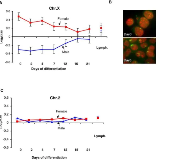 Figure 5A shows the results of an analysis in which the data were resolved into four clusters, each shown as a graph plotting the median value at each stage of differentiation tested