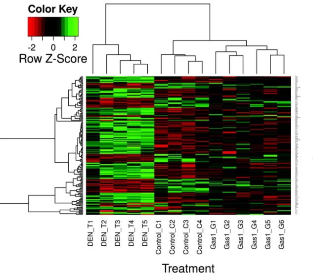 Fig 5. Effects of liver transfection with Gas1 in restoring gene expression in DEN-treated animals