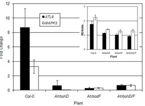 Figure 5. Relative expression levels of selected genes at various time points after inoculation with Golovinomyces cichoracearum 