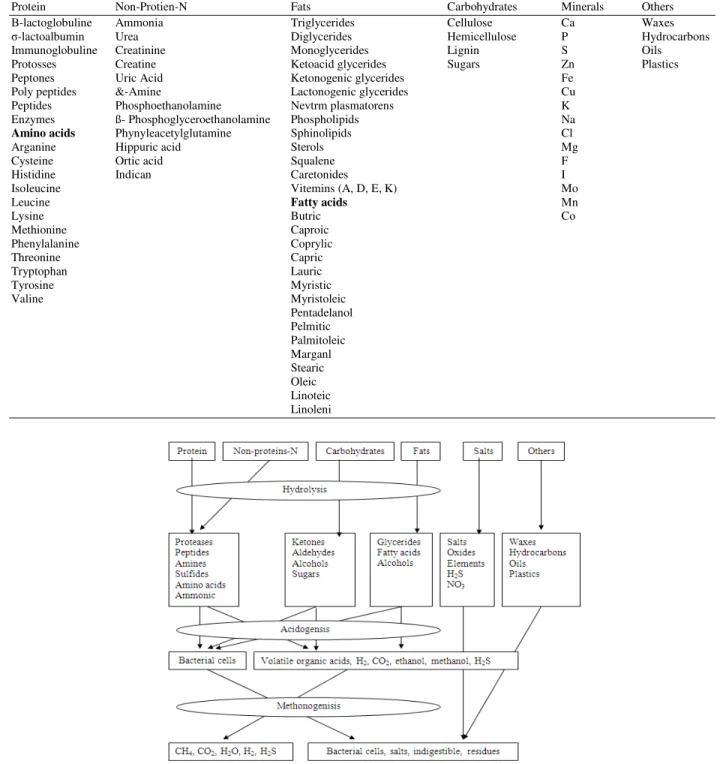 Fig. 1:  Anaerobic decomposition of animal waste 
