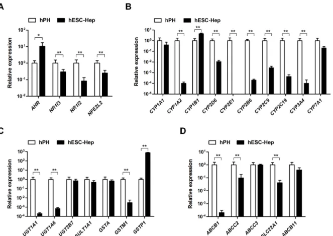 Fig 2. Gene expression levels of drug-metabolizing enzymes. Expression of genes encoding nuclear receptors (A), phase I enzymes (B), phase II enzymes (C), and phase III transporters (D) was examined by real-time RT-PCR in human primary hepatocytes (hPH) an