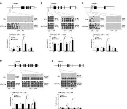 Fig 3. DNA methylation and histone modifications in regulatory regions of CYP genes. Each diagram shows the locations of the sites of CYP1A1 (A), CYP1A2 (B), CYP1B1 (C), CYP2D6 (D), and CYP2E1 (E) within gene promoters, which were examined by bisulfite seq